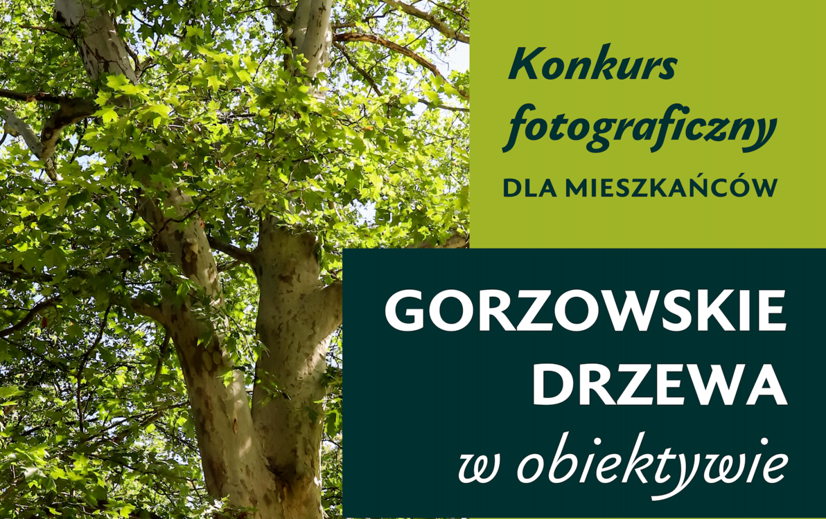 Zdjęcie do Konkurs Gorzowskie drzewa w obiektywie