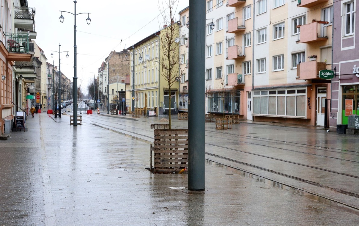 Zdjęcie do Klony wracają na ul. Chrobrego