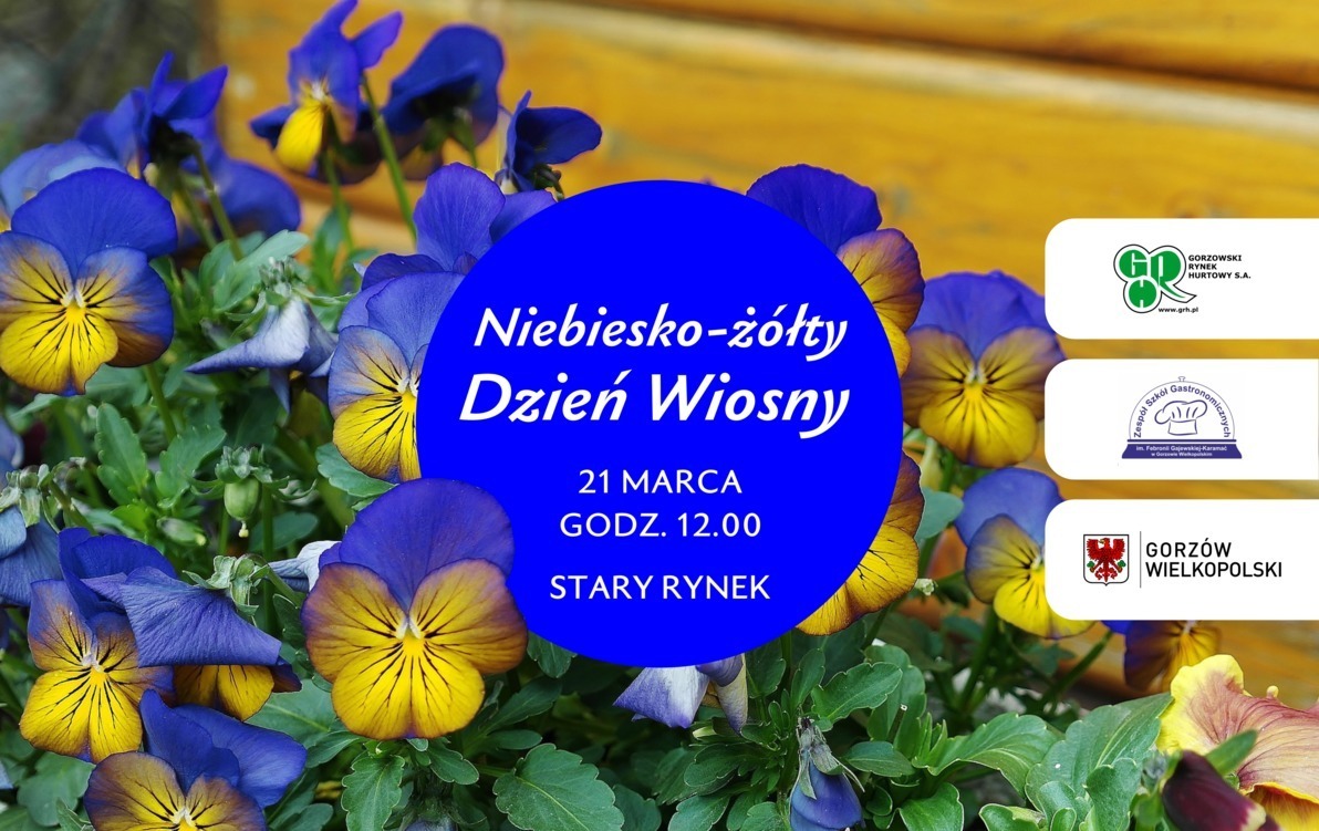 Zdjęcie do Niebiesko-ż&oacute;łty pierwszy dzień wiosny
