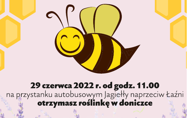 Zdjęcie do Gorz&oacute;w dla pszcz&oacute;ł - kwiaty dla pasażer&oacute;w