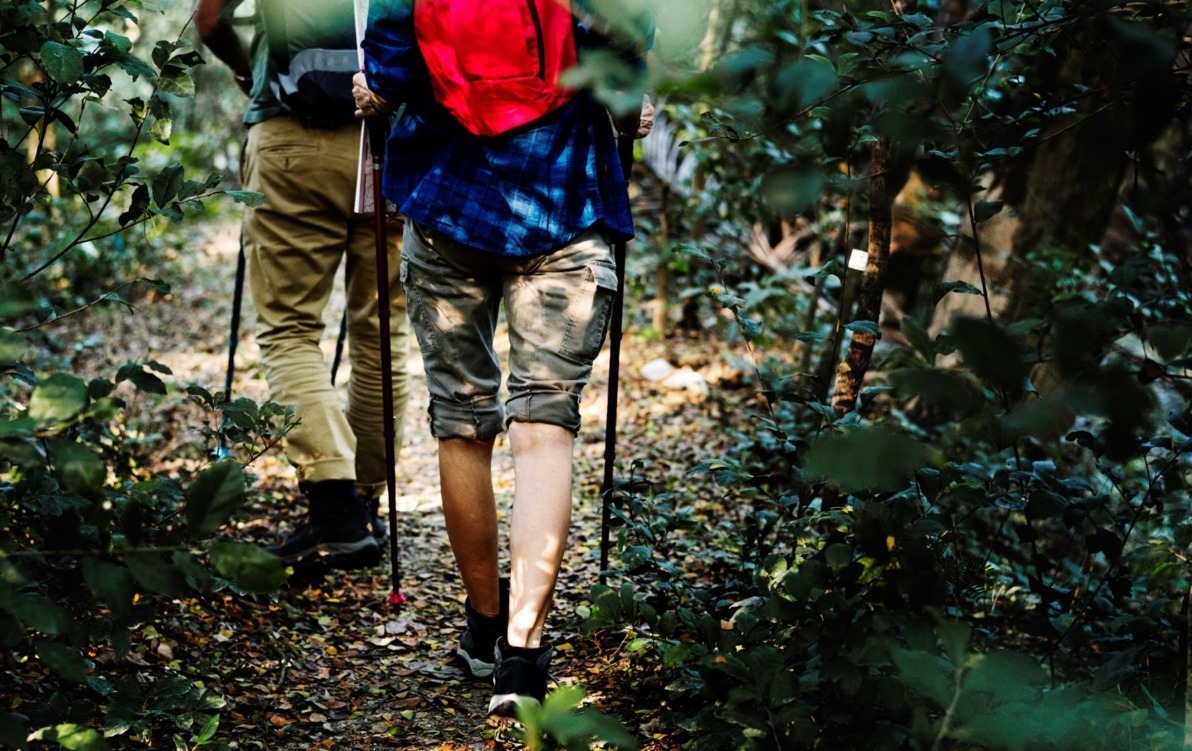 Zdjęcie do Nordic Walking z OSiRem 