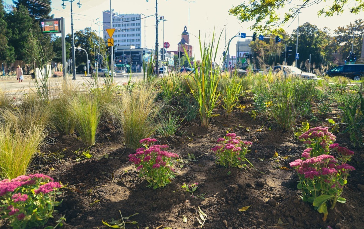 Zdjęcie do Park kieszonkowy już gotowy