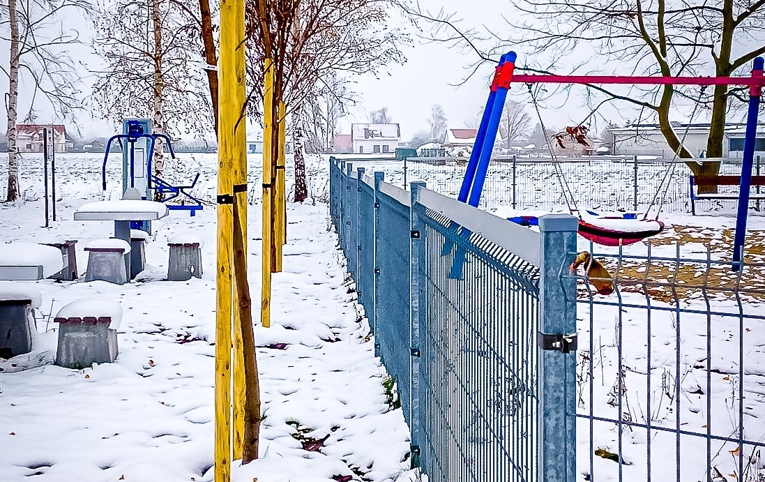 Zdjęcie do 15 klon&oacute;w na Strażackiej