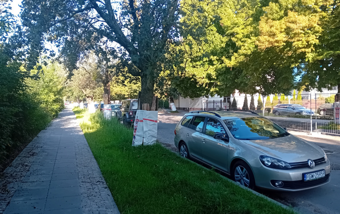 Zdjęcie do Auta blokują remont