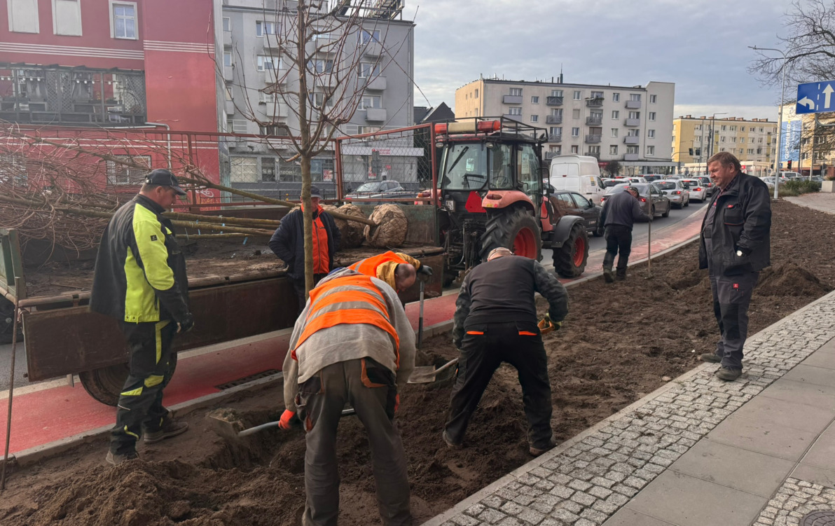 Zdjęcie do Jeszcze więcej zieleni w centrum
