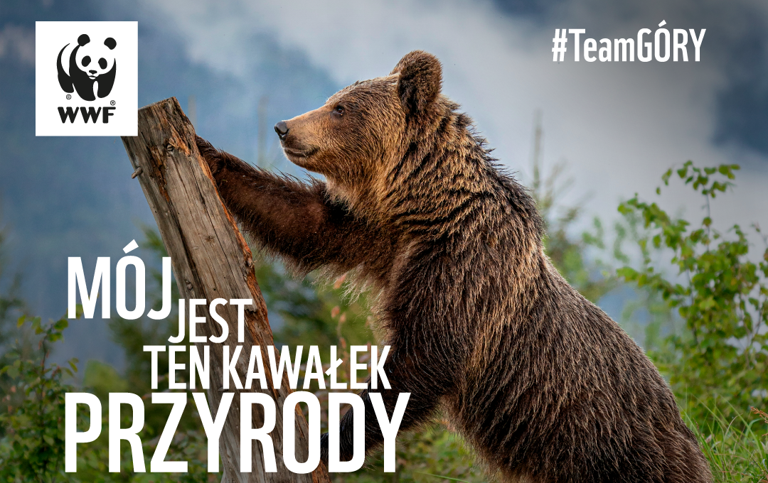 Zdjęcie do W sobotę zn&oacute;w zgasimy światło