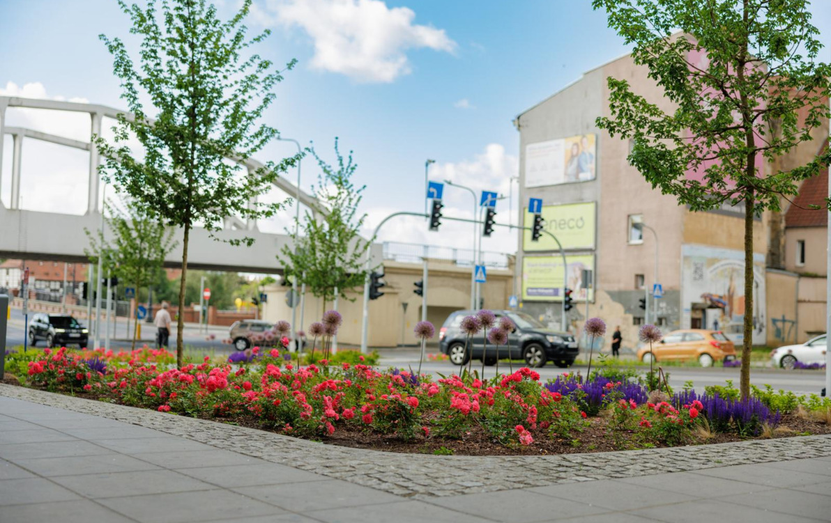 Zdjęcie do Spichrzowa rozkwita. Tak zmieniło się centrum Gorzowa po przebudowie