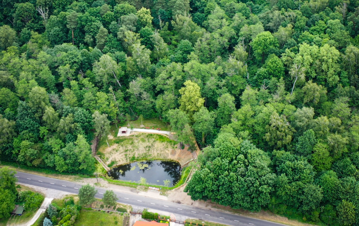Zdjęcie do Gorz&oacute;w inwestuje w miasto odporne na zmiany klimatu. Ponad p&oacute;ł miliarda złotych na działania adaptacyjne