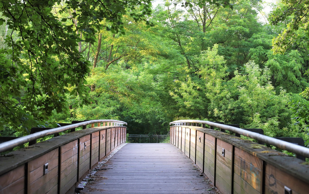 Zdjęcie do Kolejny fragment Parku Słowiańskiego zyska oświetlenie