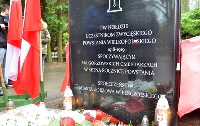 Zdjęcie do Śladami powstańc&oacute;w wielkopolskich                          