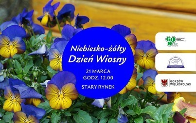 Zdjęcie do Niebiesko-ż&oacute;łty pierwszy dzień wiosny