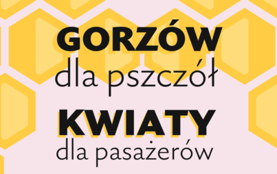 Zdjęcie do Dla pszcz&oacute;ł i dla pasażer&oacute;w