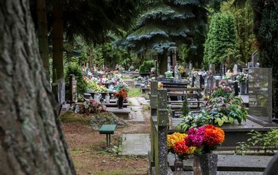 Zdjęcie do Miasto przygotowane do Wszystkich Świętych