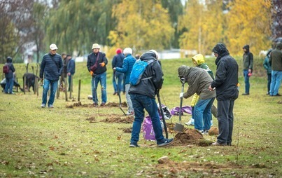 Zdjęcie do Seniorzy posadzili dęby 