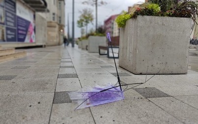 Zdjęcie do Uwaga - silny wiatr!