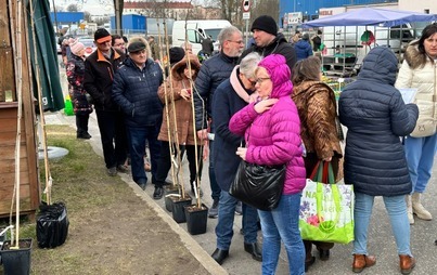 Zdjęcie do Kolejka po naszą renetę