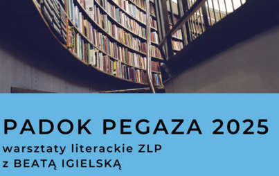 Zdjęcie do Padok Pegaza