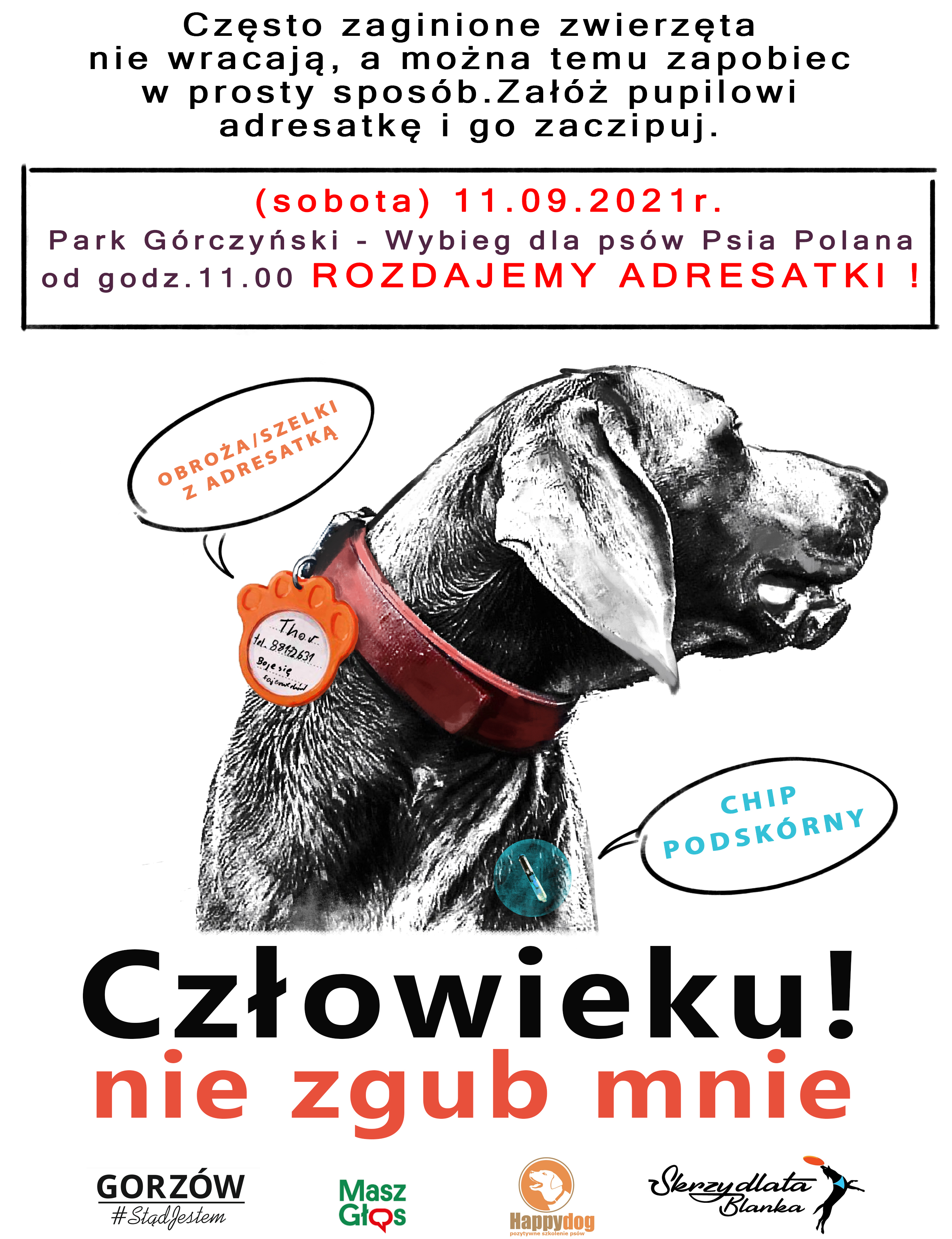 adresatka dla psa